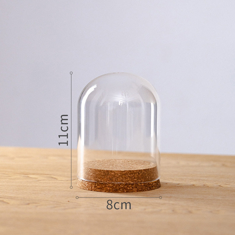 Dome Glass Display With Cork