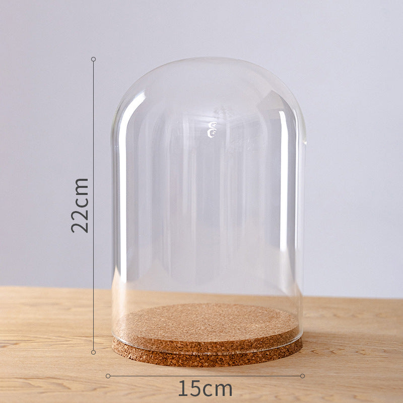 Dome Glass Display With Cork