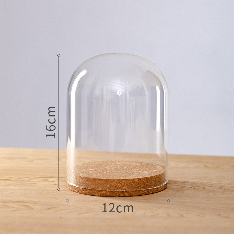 Dome Glass Display With Cork