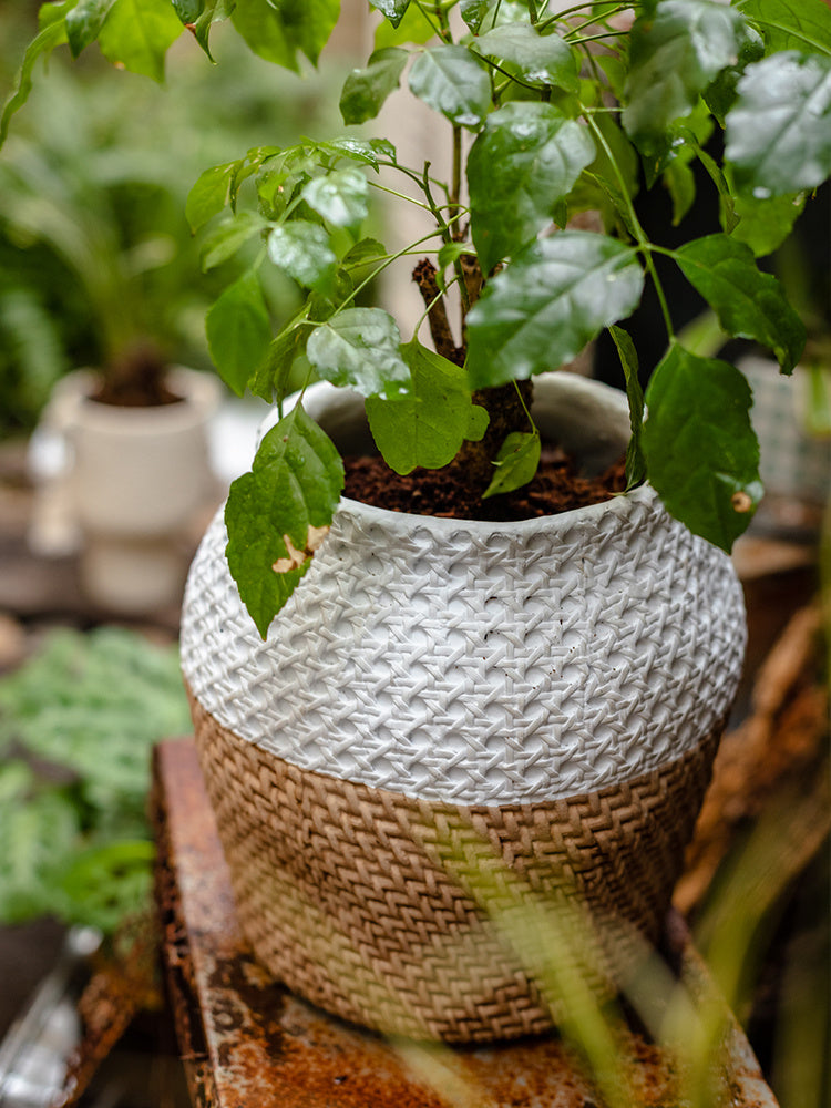 Clay Plant Pot With Rattan Design