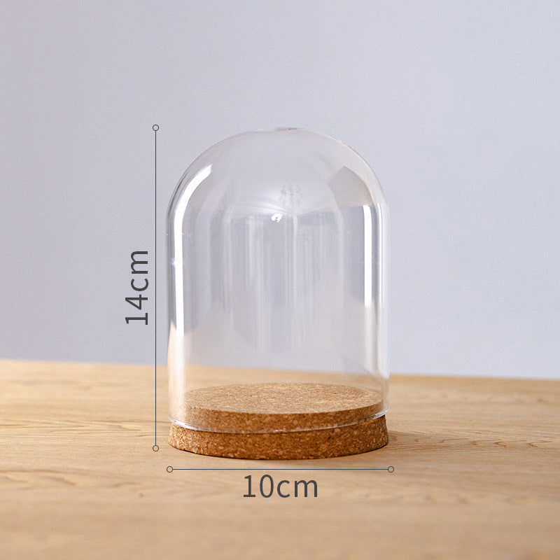 Dome Glass Display With Cork