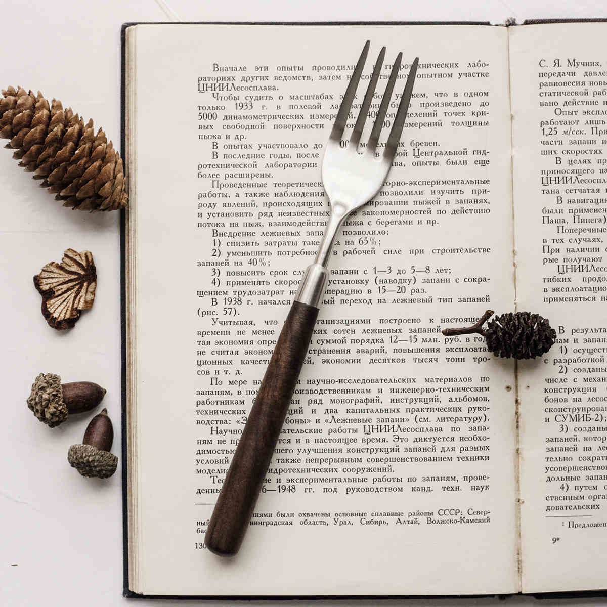 Stainless Steel Cutlery With Walnut Wood Handle