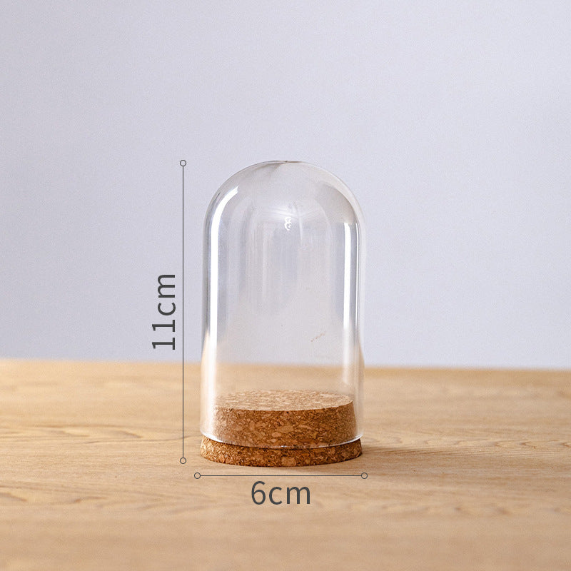 Dome Glass Display With Cork