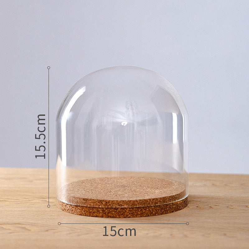 Dome Glass Display With Cork