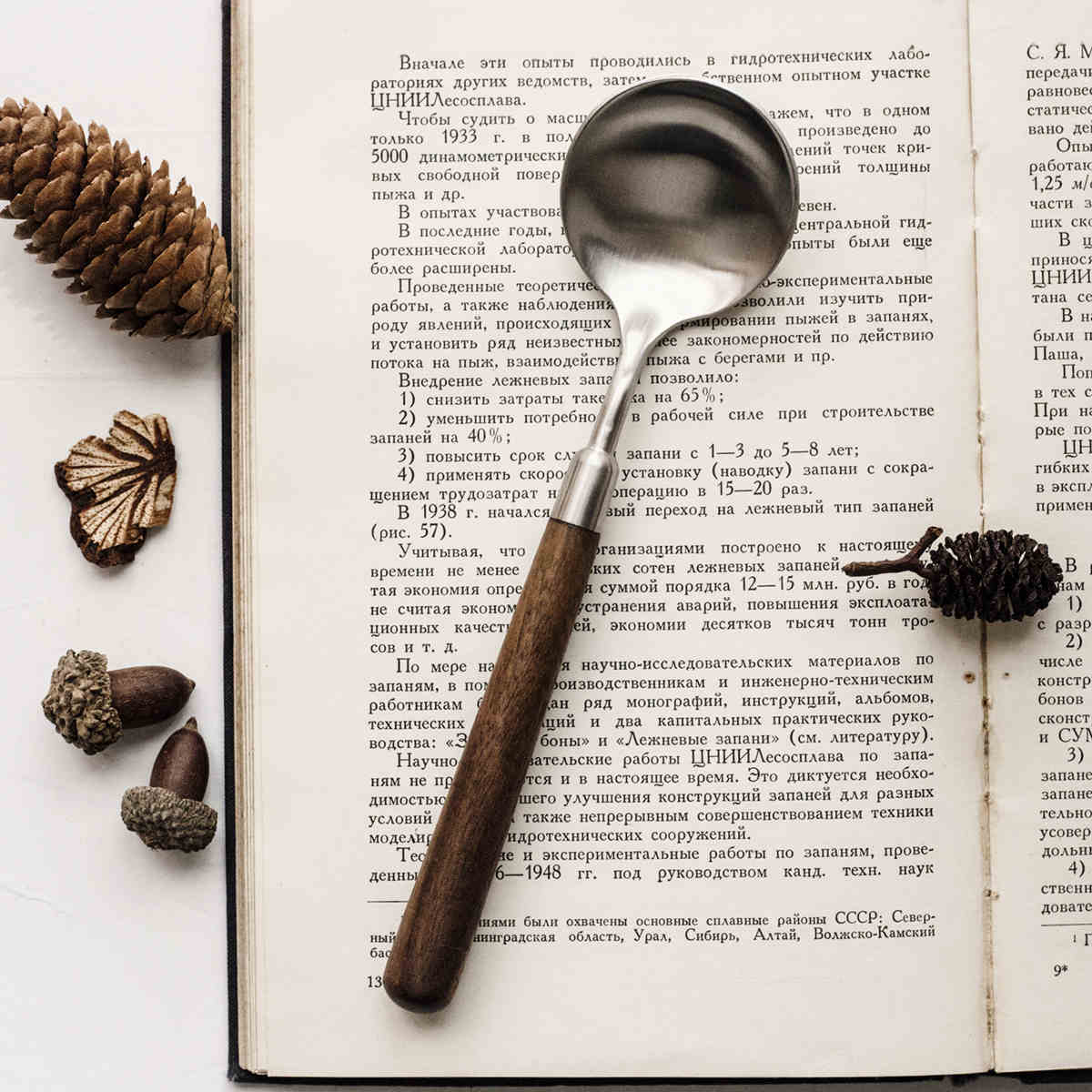 Stainless Steel Cutlery With Walnut Wood Handle