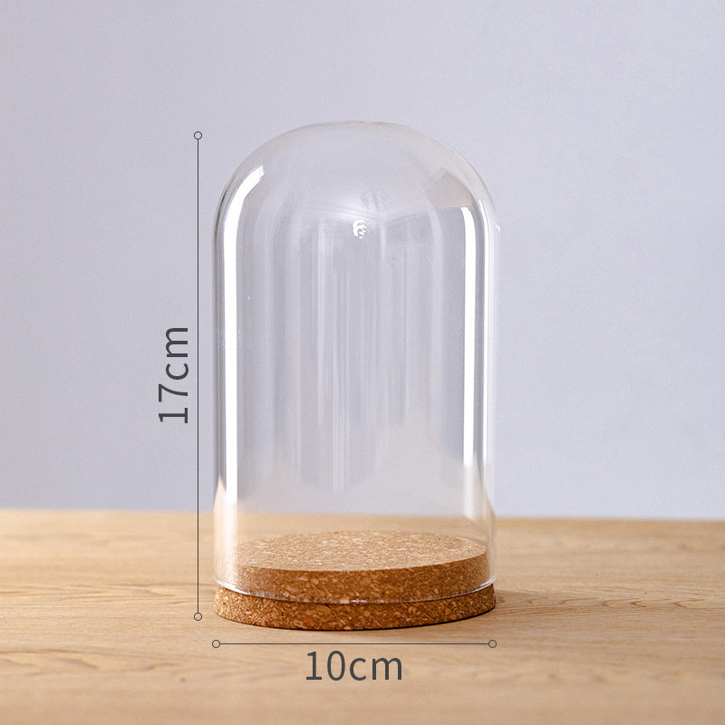 Dome Glass Display With Cork