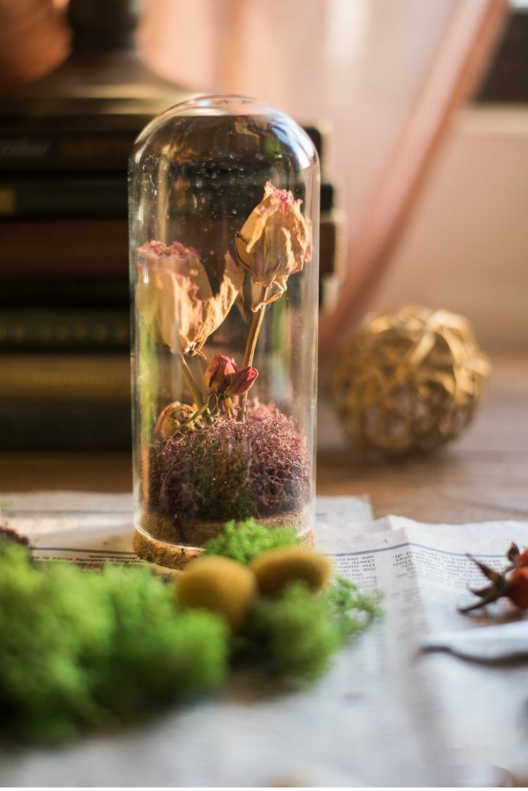 Dome Glass Display With Cork